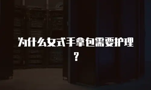 为什么女式手拿包需要护理？
