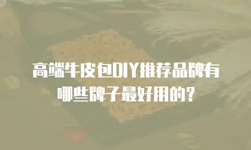 高端牛皮包DIY推荐品牌有哪些牌子最好用的？