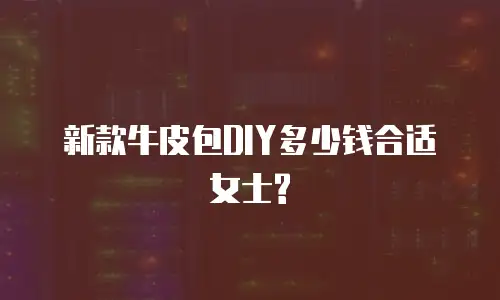 新款牛皮包DIY多少钱合适女士?