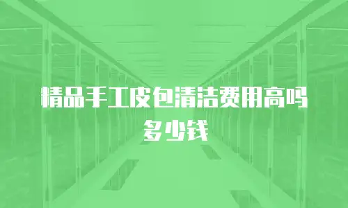 精品手工皮包清洁费用高吗多少钱
