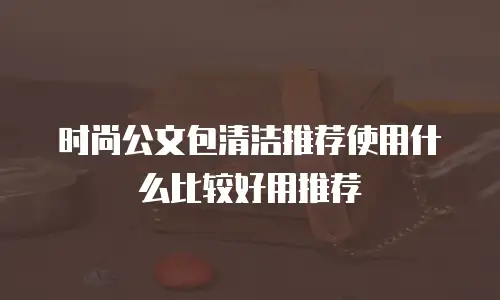 时尚公文包清洁推荐使用什么比较好用推荐