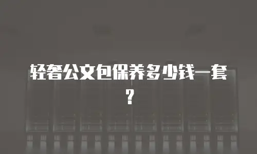 轻奢公文包保养多少钱一套？