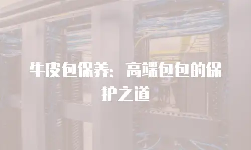 牛皮包保养：高端包包的保护之道