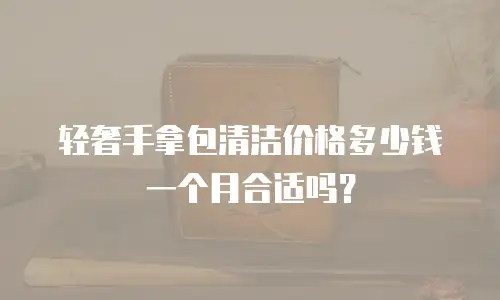 轻奢手拿包清洁价格多少钱一个月合适吗？