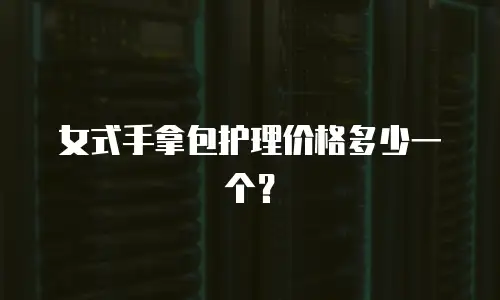 女式手拿包护理价格多少一个？