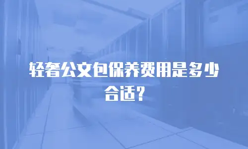 轻奢公文包保养费用是多少合适？