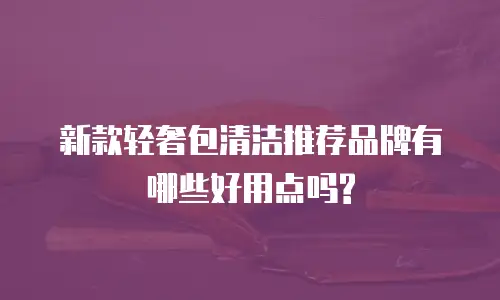 新款轻奢包清洁推荐品牌有哪些好用点吗?