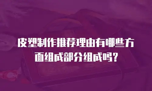 皮塑制作推荐理由有哪些方面组成部分组成吗？