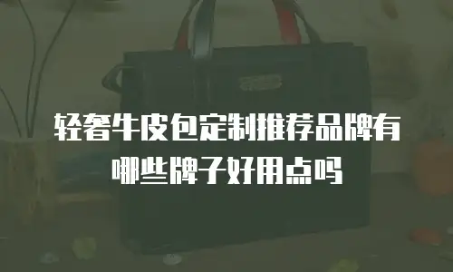 轻奢牛皮包定制推荐品牌有哪些牌子好用点吗