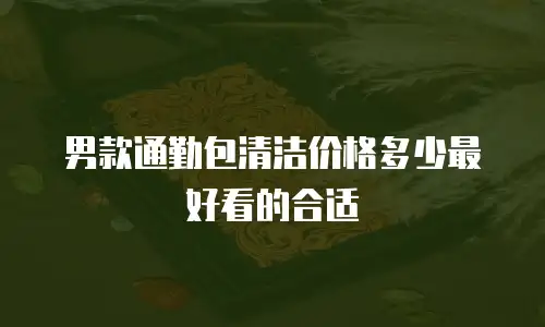 男款通勤包清洁价格多少最好看的合适