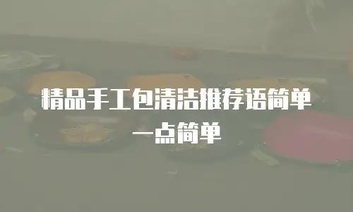 精品手工包清洁推荐语简单一点简单
