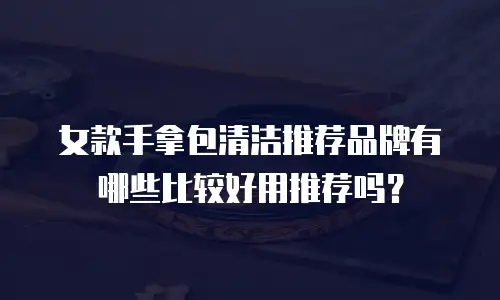 女款手拿包清洁推荐品牌有哪些比较好用推荐吗？
