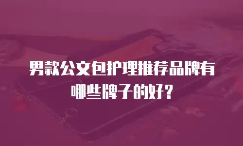 男款公文包护理推荐品牌有哪些牌子的好？