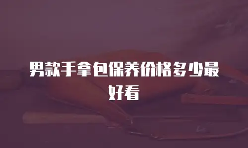 男款手拿包保养价格多少最好看