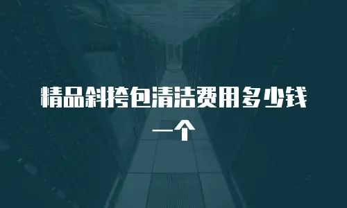 精品斜挎包清洁费用多少钱一个