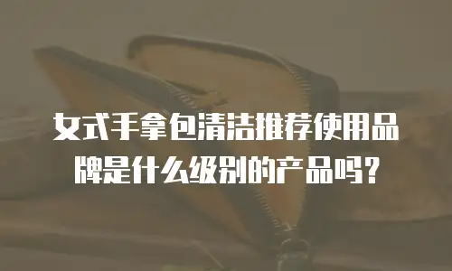 女式手拿包清洁推荐使用品牌是什么级别的产品吗？