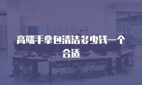 高端手拿包清洁多少钱一个合适