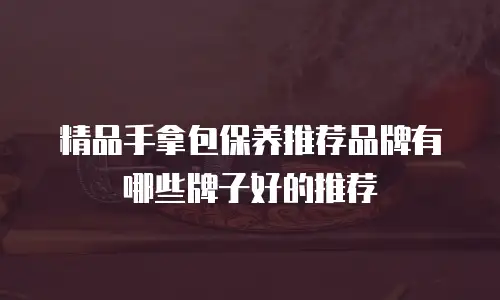 精品手拿包保养推荐品牌有哪些牌子好的推荐