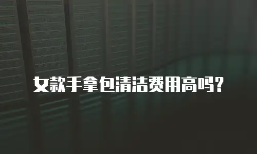 女款手拿包清洁费用高吗？