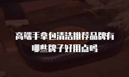 高端手拿包清洁推荐品牌有哪些牌子好用点吗