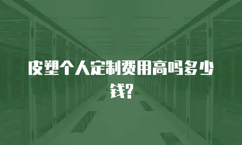 皮塑个人定制费用高吗多少钱?