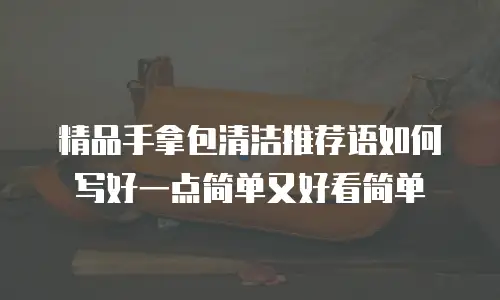 精品手拿包清洁推荐语如何写好一点简单又好看简单