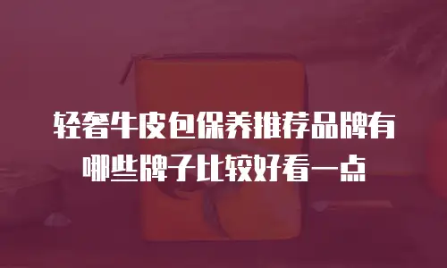 轻奢牛皮包保养推荐品牌有哪些牌子比较好看一点