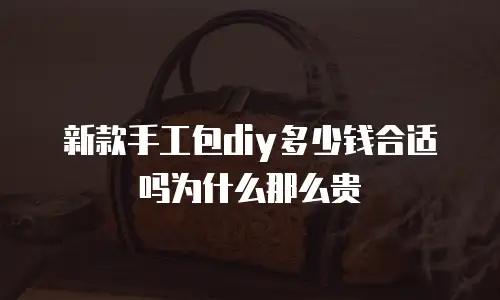 新款手工包diy多少钱合适吗为什么那么贵