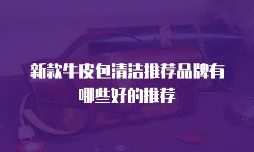 新款牛皮包清洁推荐品牌有哪些好的推荐