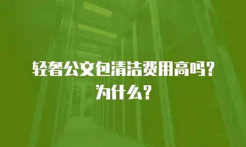 轻奢公文包清洁费用高吗？为什么？