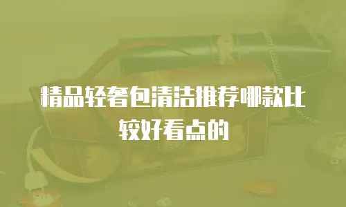 精品轻奢包清洁推荐哪款比较好看点的