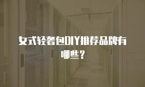 女式轻奢包DIY推荐品牌有哪些？