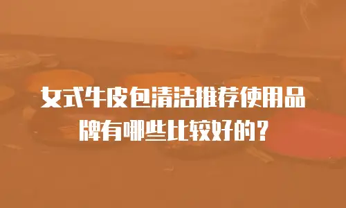 女式牛皮包清洁推荐使用品牌有哪些比较好的？