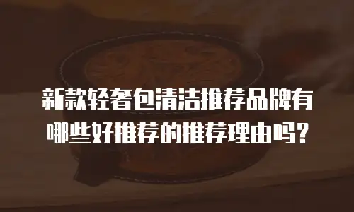 新款轻奢包清洁推荐品牌有哪些好推荐的推荐理由吗？