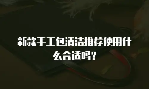 新款手工包清洁推荐使用什么合适吗？