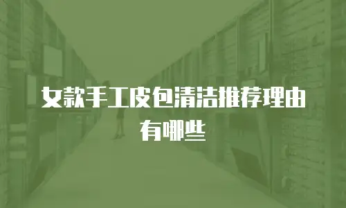 女款手工皮包清洁推荐理由有哪些