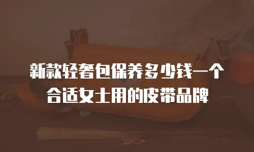 新款轻奢包保养多少钱一个合适女士用的皮带品牌