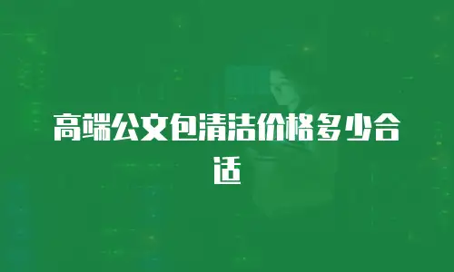 高端公文包清洁价格多少合适