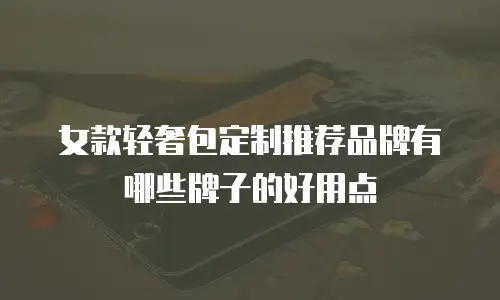 女款轻奢包定制推荐品牌有哪些牌子的好用点