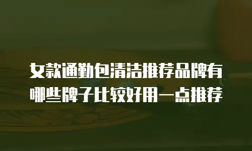 女款通勤包清洁推荐品牌有哪些牌子比较好用一点推荐