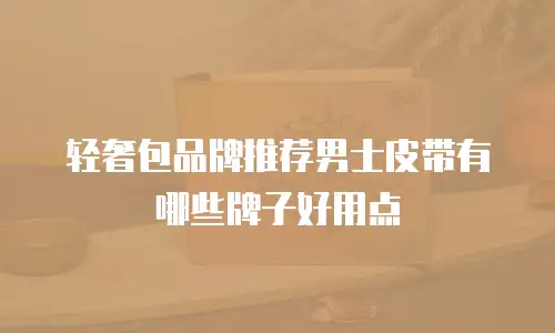轻奢包品牌推荐男士皮带有哪些牌子好用点