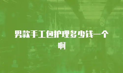 男款手工包护理多少钱一个啊