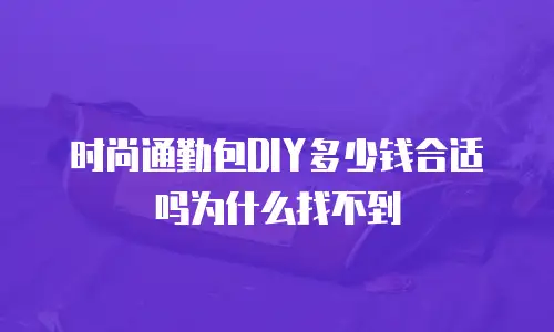 时尚通勤包DIY多少钱合适吗为什么找不到
