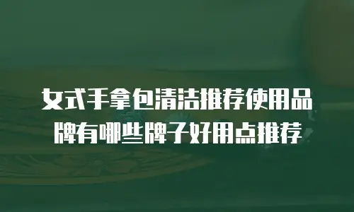 女式手拿包清洁推荐使用品牌有哪些牌子好用点推荐