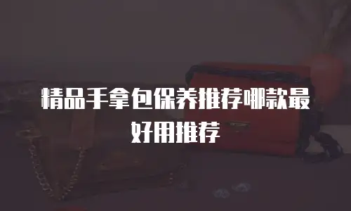 精品手拿包保养推荐哪款最好用推荐
