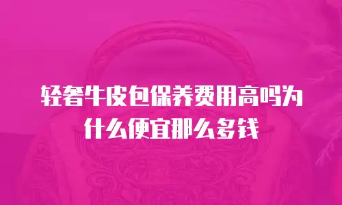 轻奢牛皮包保养费用高吗为什么便宜那么多钱
