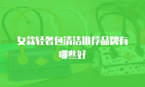 女款轻奢包清洁推荐品牌有哪些好