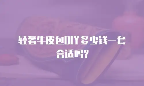 轻奢牛皮包DIY多少钱一套合适吗？