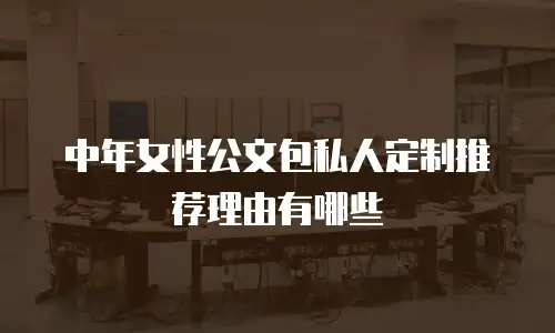 中年女性公文包私人定制推荐理由有哪些
