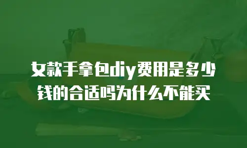 女款手拿包diy费用是多少钱的合适吗为什么不能买